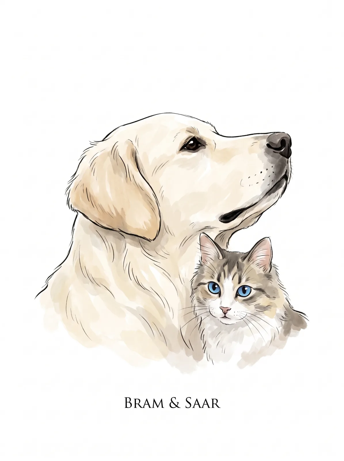 Studio Minimal ink and watercolor portrait of a golden retriever and a tabby cat on white, names set small beneath